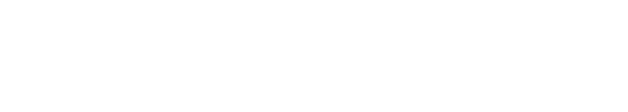 Fiebrich Longhorns